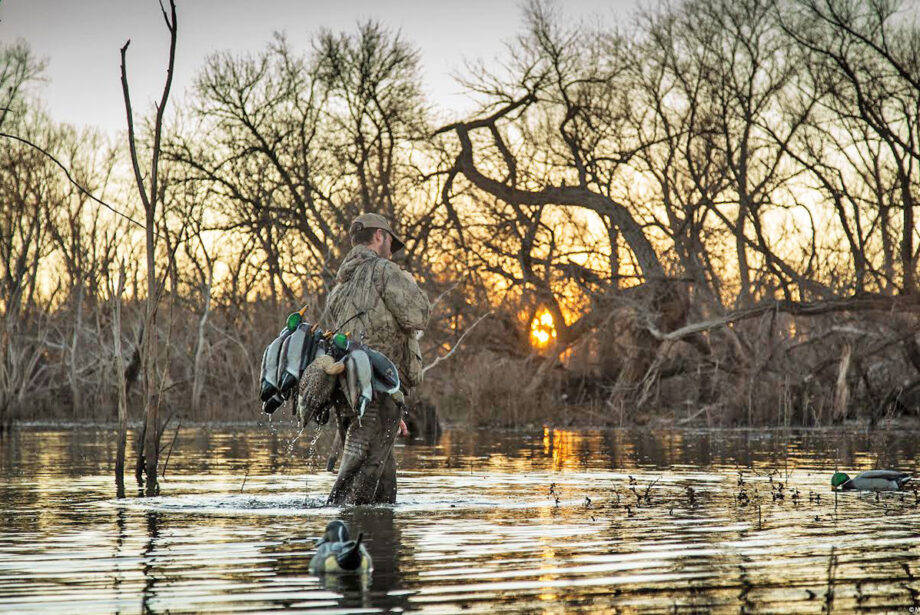 Arkansas duck hunters are wading into shallower waters this season at three of the state’s wildlife management areas.