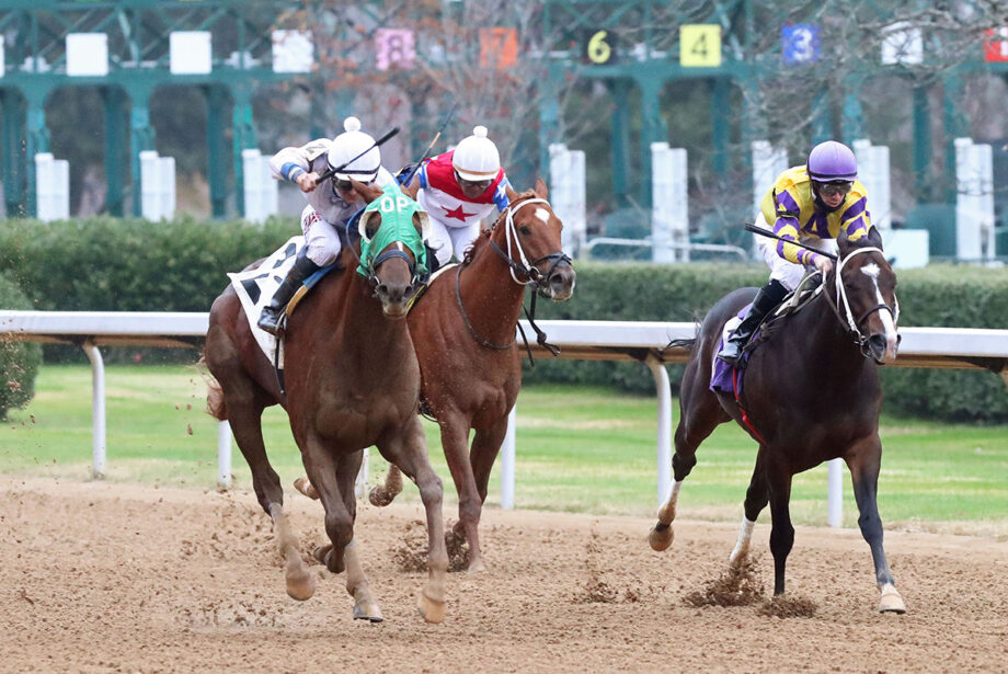 Featuring a new hotel and expanded casino, Oaklawn got off to an early start this season with December racing.