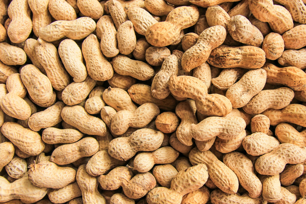 Arkansas to Loan Delta Peanut $5M as it Explores Potential Acquisition