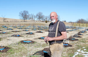 Farmer Bill Morgan grows hemp on an acre in Fayetteville.