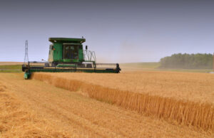 A farm crew using a combine to harvest ripened wheat crop in North Dakota