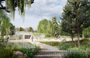 A rendering of the wetlands at the Alice L. Walton School of Medicine