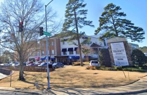 Pavilion in the Park