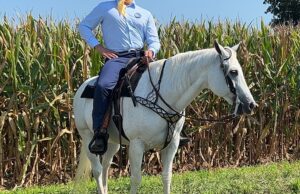 Michigan actor&nbsp;Brandon Layne portrays Stone Bank of Mountain View spokesperson the "Stone Ranger."