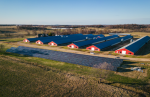 An aerial view of the solar array at Dixie Acres Farm in Siloam Springs