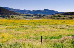 Farmland in Montana