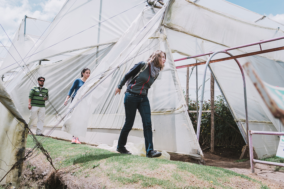 Intensive experiential learning has defined the Clinton School from its founding, and goes far beyond conventional internships.