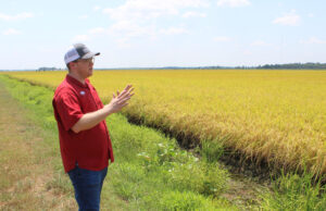 Hunter Biram of the University of Arkansas said farm subsidies can determine whether a crop is profitable.[Griffin Coop]