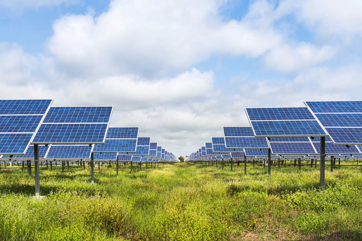EDP Renewables, Meta to Build Solar Project in Chicot County