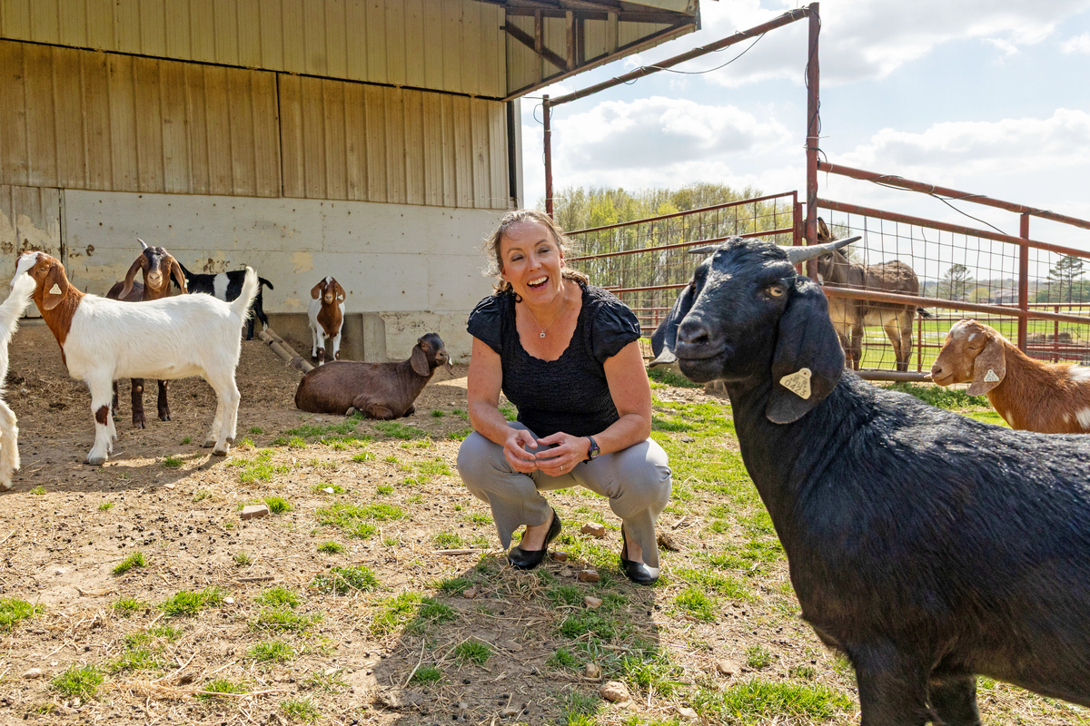 A-State Prepares to Train the Next Generation of Veterinarians