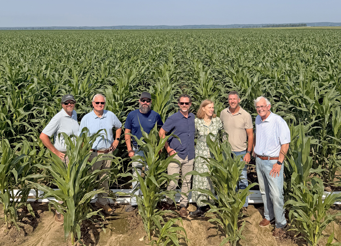 Northeast Arkansas Farmers Are Growing Corn That Could Replace Sugar