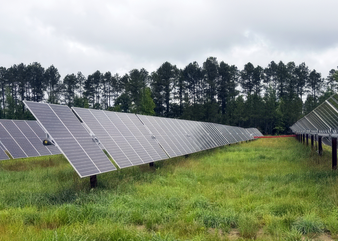 Solar Developer Treaty Oak Finds Opportunity in Arkansas Timberland