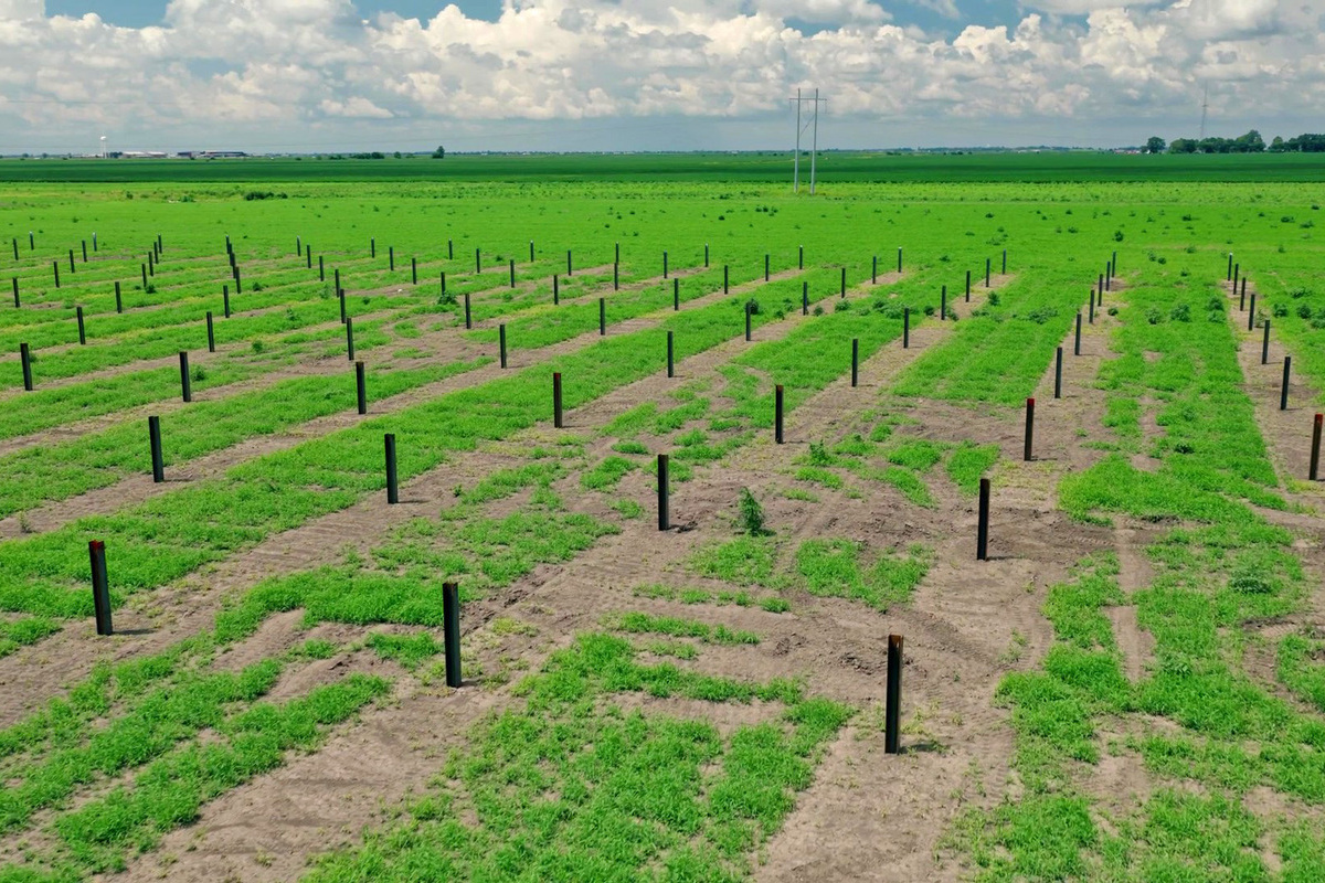 Mississippi County Is Quietly Hosting a Record-Breaking Solar Project